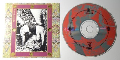 PainKiller - Buried Secrets - CD