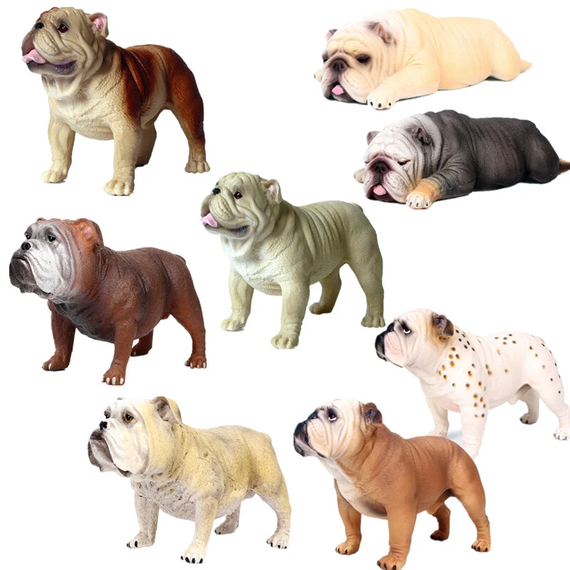 British Bulldog English Dog Pet Animal