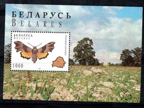 Weißrussland 1996 Mi. Bl. 7 Zettel 100% Neu ** 1000 R, Schmetterlinge