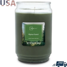 Alpine Forest Scented Single-Wick Glass Jar Candle 20 oz Inviting Aroma