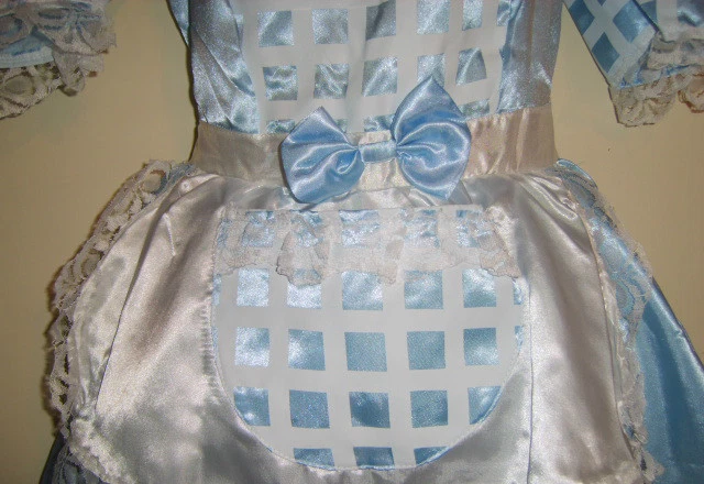 Alicia en el País de las Maravillas Dorothy Mago de Oz Niña de Campo Elegante Vestido Disfraz M Nuevo Foto 4 de 4