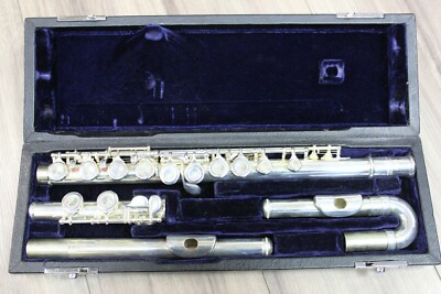 Roy Benson FL-202E Student Series Flute