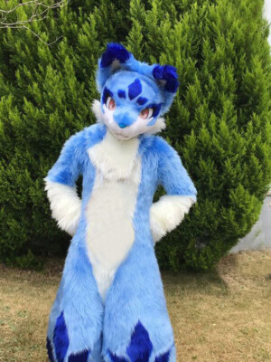 Long Fur Husky Dog Fox Mascot Costume Fursuit Halloween Suit
