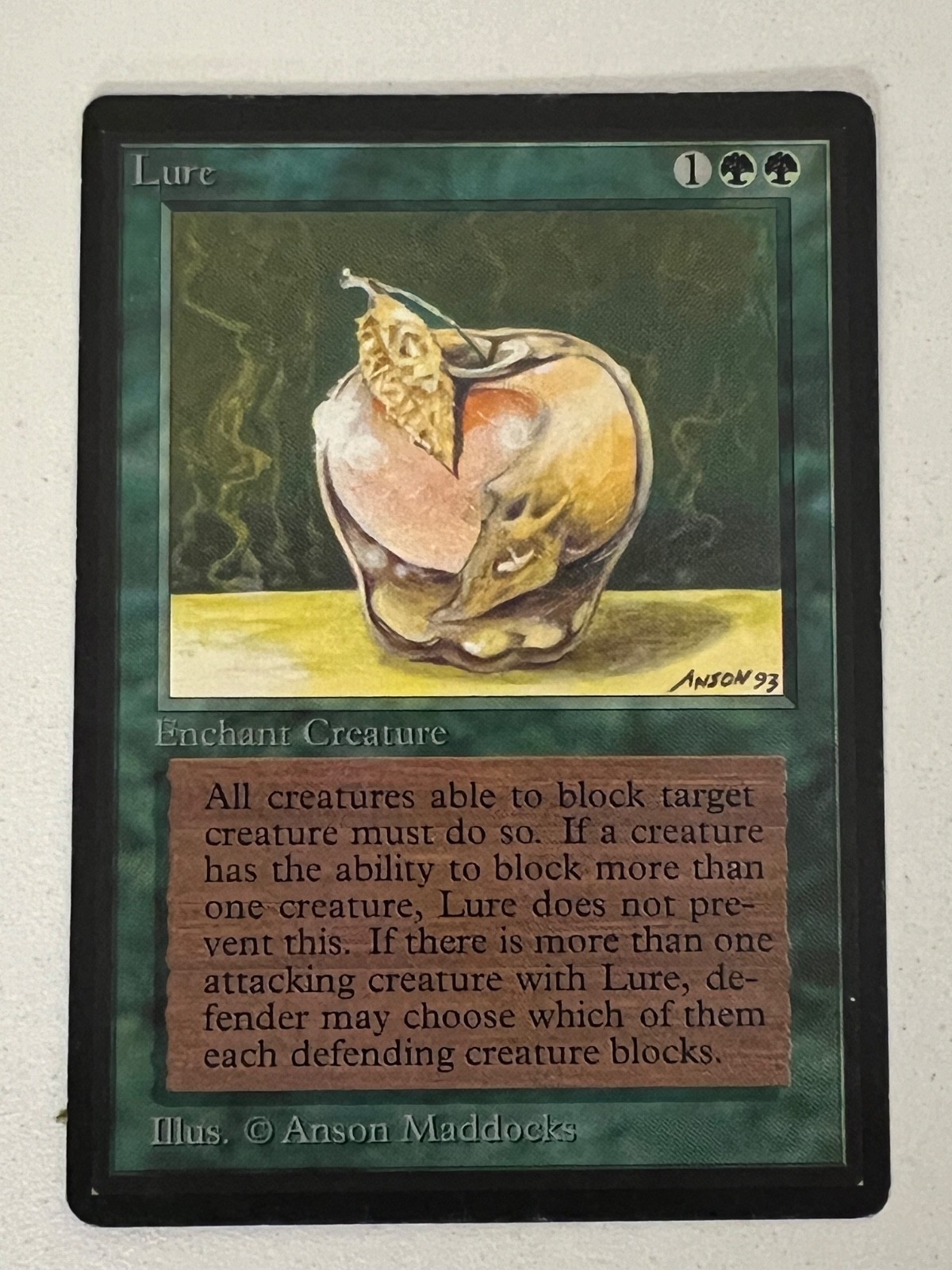 Magic the Gathering MTG Beta Lure LP (Beta Bob)