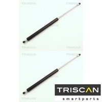 2X Gasfeder FüR Motorhaube Triscan 871012102 2 GasdäMpfer Motorraum