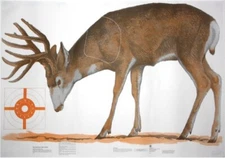 NRA Mule Deer Life-Size Game Targets (HF 07900), 60" x 42", (4 rolled)