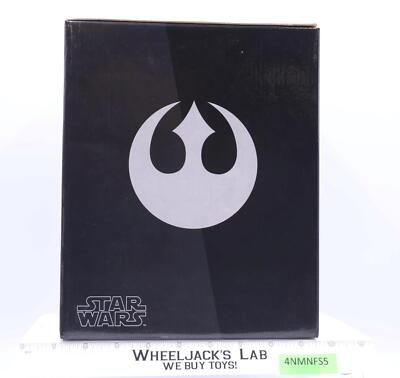 Luke Skywalker X-Wing Pilot Star Wars Animated Gentle Giant