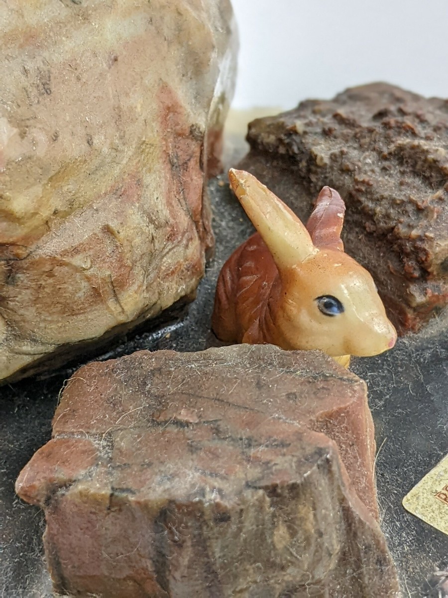Petrified Forest Wood Souvenir With Bunny Figurine Resin Base | eBay