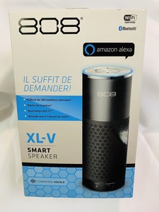 bluetooth speaker voice control