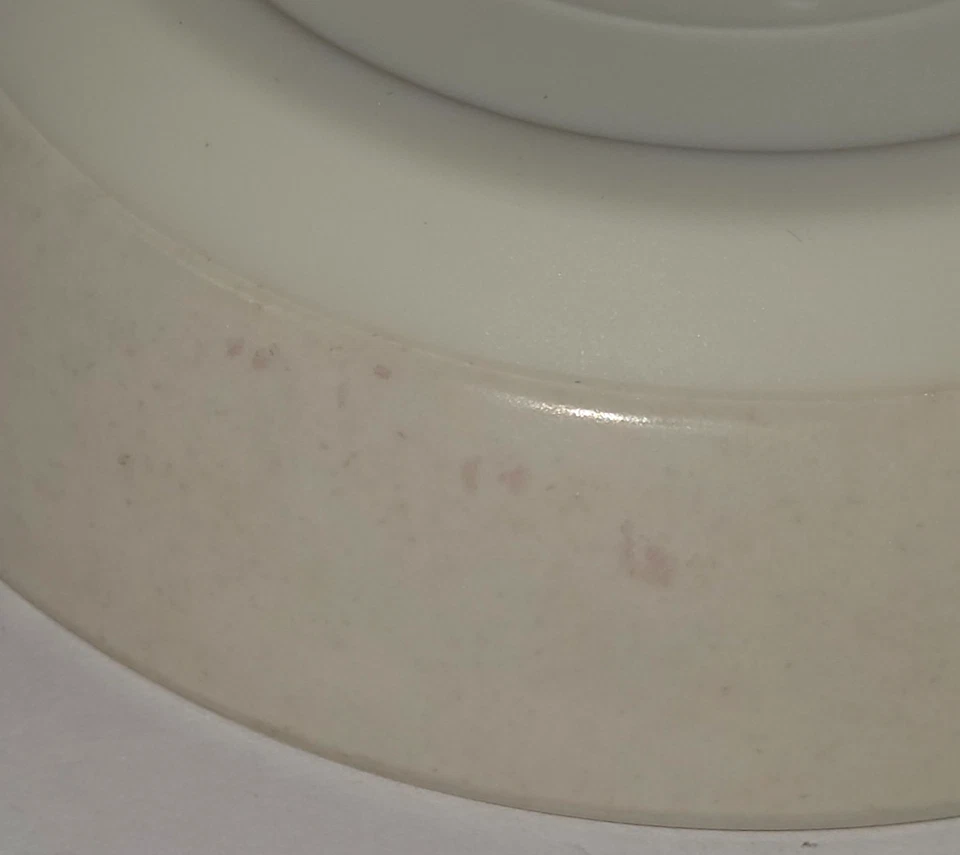 Van Ness Ecoware 8 oz cuenco para gatos base de goma antideslizante motivo de lunares para gatos de 5" Foto 4 de 4