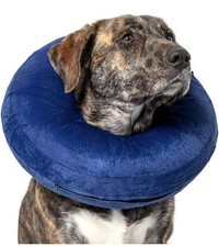 Large Inflatable Donut Collar Dogs Post-Surgery Injury - Many colors available
