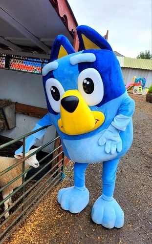 Mascots Of Cheshire - Picture 15 of 24