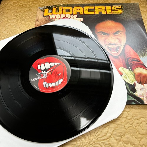 Ludacris Word Of Mouf Vinyl Def Jam Recording 2001 2LP 1st PRESS PromoVG+ - Picture 7 of 9