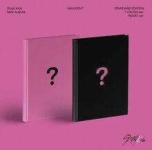 Maxident-Inkl.Photobook  | CD | Zustand sehr gut