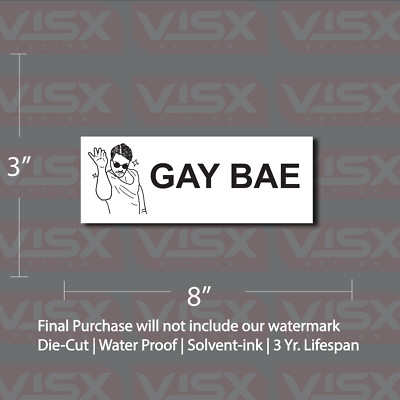 Salt Gay bae MAGNET or Bumper Sticker Car tailgater funny prank love LBGTQ+