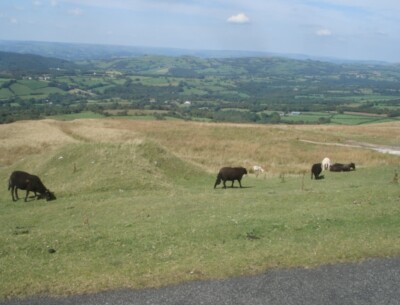 Photo 6x4 Brest Rhiw-ddw Capel Gwynfe Looking northwards from the minor r c2007