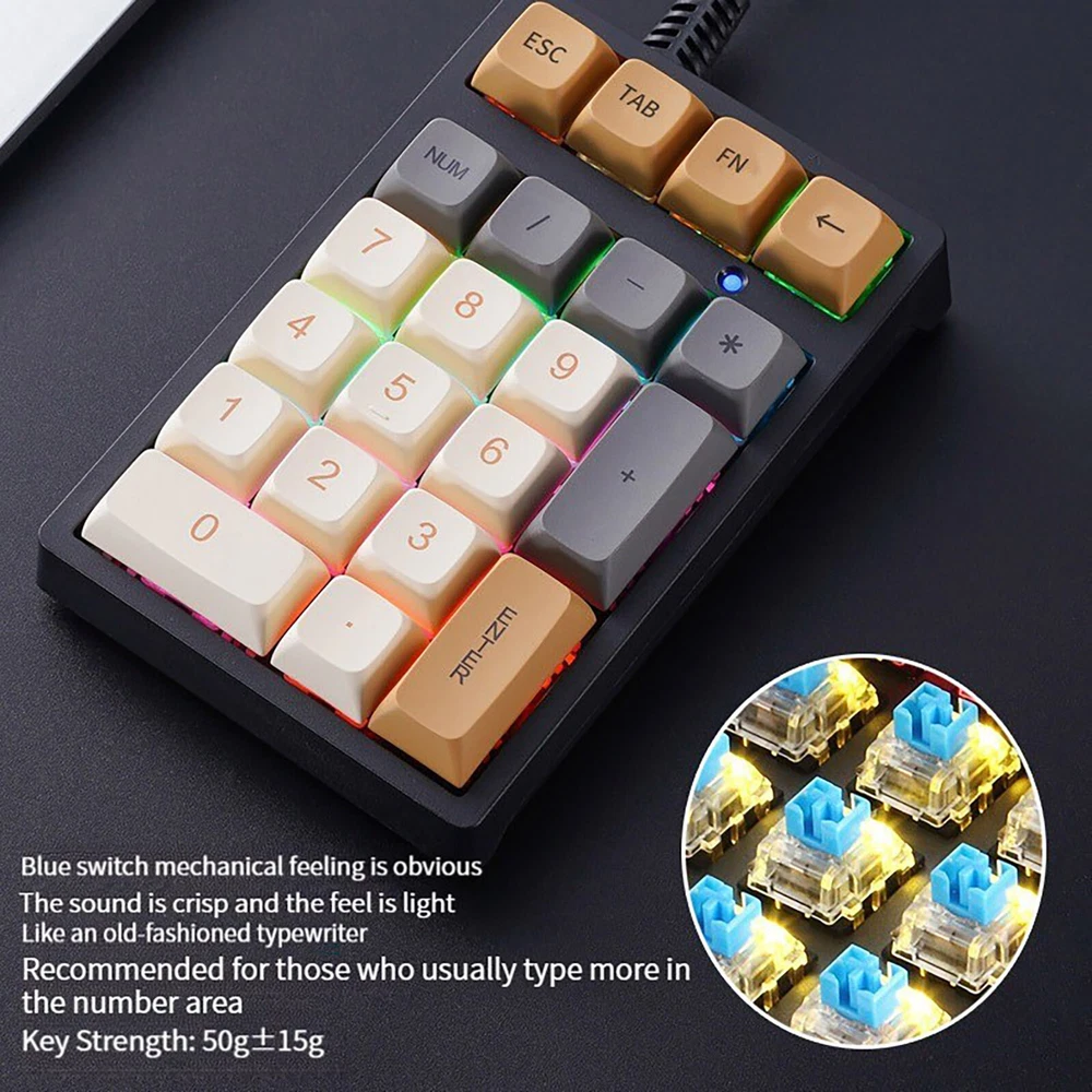 Compact Mechanical Numeric Keypad with Blue Switches for Laptops and External Devices