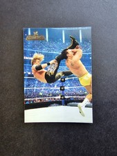 2011 Topps WWE Champions 🔥 