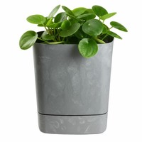 Howhomely Blumentopf BlumenküBel Mit Untersetzer Grau 16X16Cm Betonoptik Deko