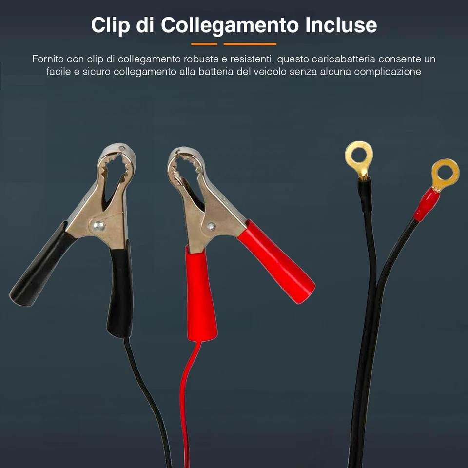 Caricabatteria Universale Con Microprocessore per Veicoli - Funzione Desolfatazi - Immagine 2 di 4