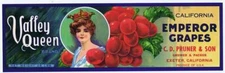 Valley Queen, emperor grapes fruit crate label WHOLESALE LOT OF 25 LABELS