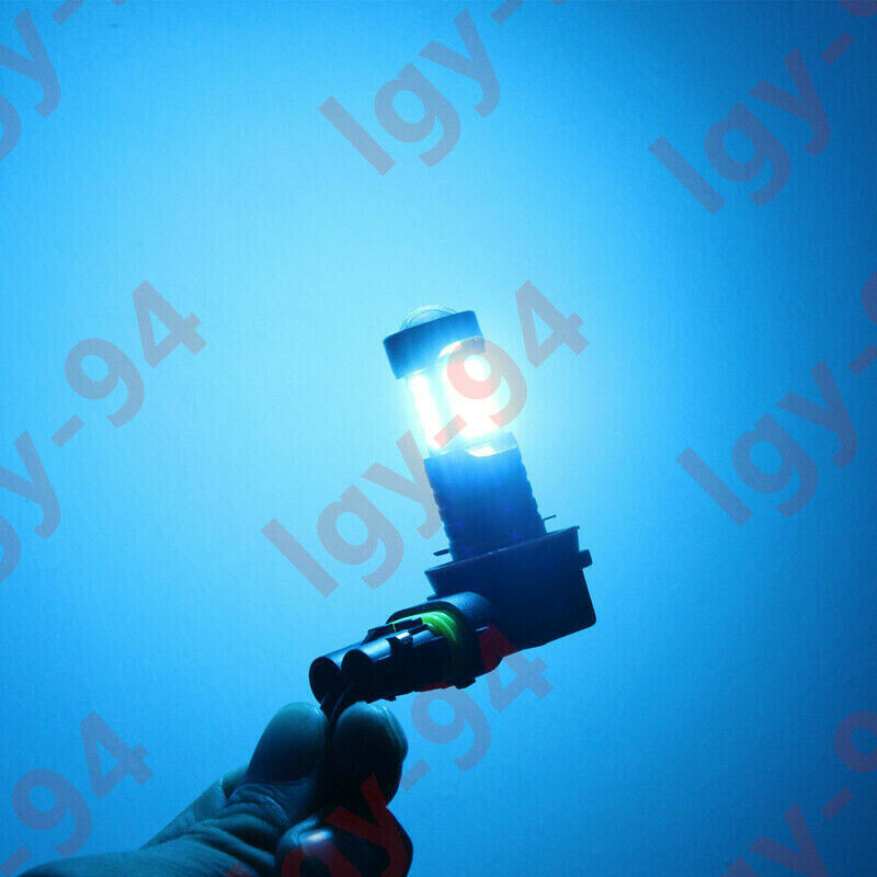 Picture 6 of 8