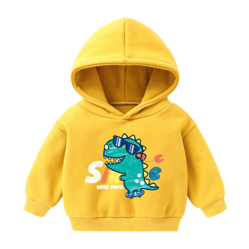Toddler Infant Baby Girls Boys Cartoon Dinosaur Hoodie Sweatshirt Pullover Tops - Picture 25 of 27
