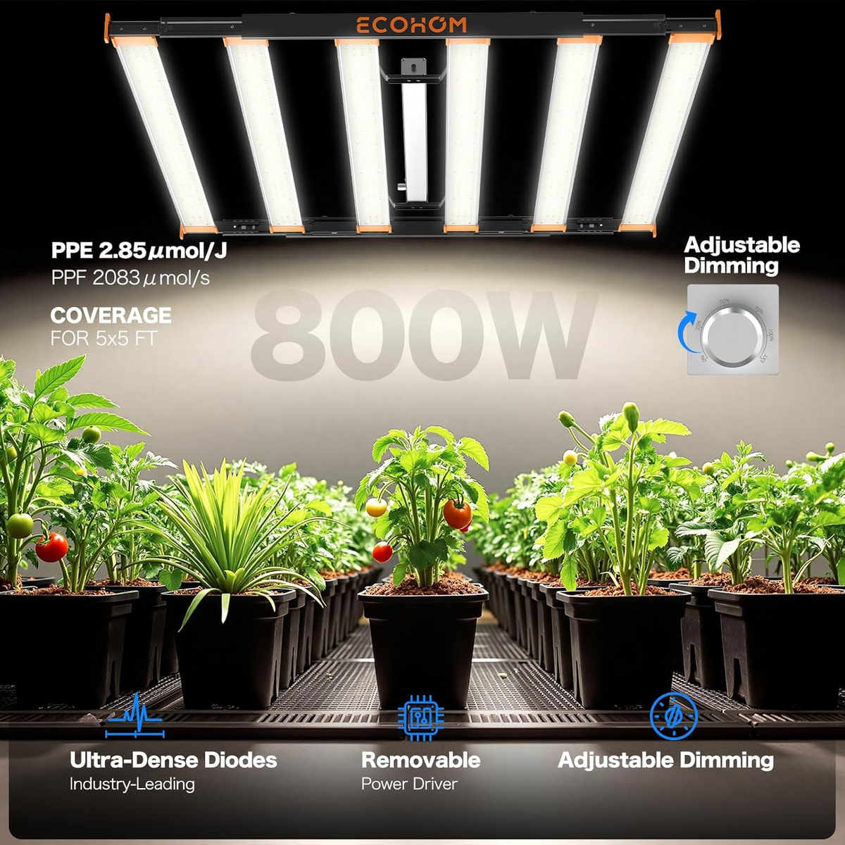 800W Full Spectrum LED Grow Light for Indoor Plants, Dimmable