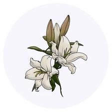 24 x 'White Lillies' Stickers (SK00048973)