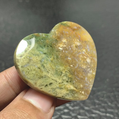 Unique Coral Fossil Cabochon 42x37x7.5mm Heart Shaped 89 ct - Picture 4 of 6