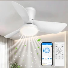 Ceiling Fans Lights with APP & Remote Control: 30 Inch Low Profile White