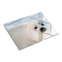 Schneidebrett Aus Glas Modernes KüChenzubehöR GehäRtetes Glas Robbe 40X30 Cm