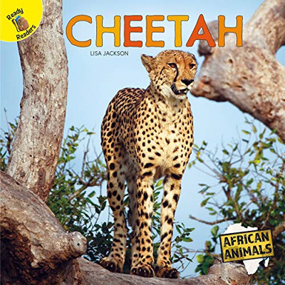 Cheetah (African Animals)