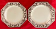 2 Rare J&G MEAKIN 10 inch Octagonal Plates from England