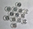 13 x 1g .999 Silver Rounds in Capsules 🔥 Gator Grams