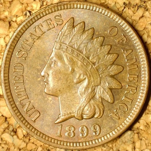 1899 Indian Head Cent - AU+++ ALMOST MINT STATE BEAUTY  (M721)