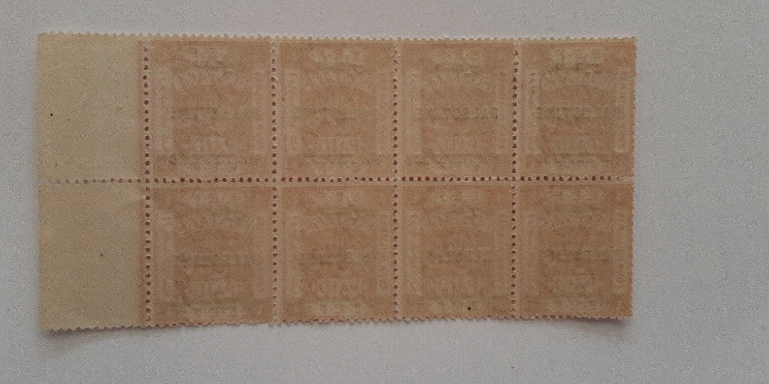 Picture 4 of 5