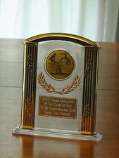 Men's OR Women's Gymnastics 7" Acrylic Award Trophy FREE custom engraving