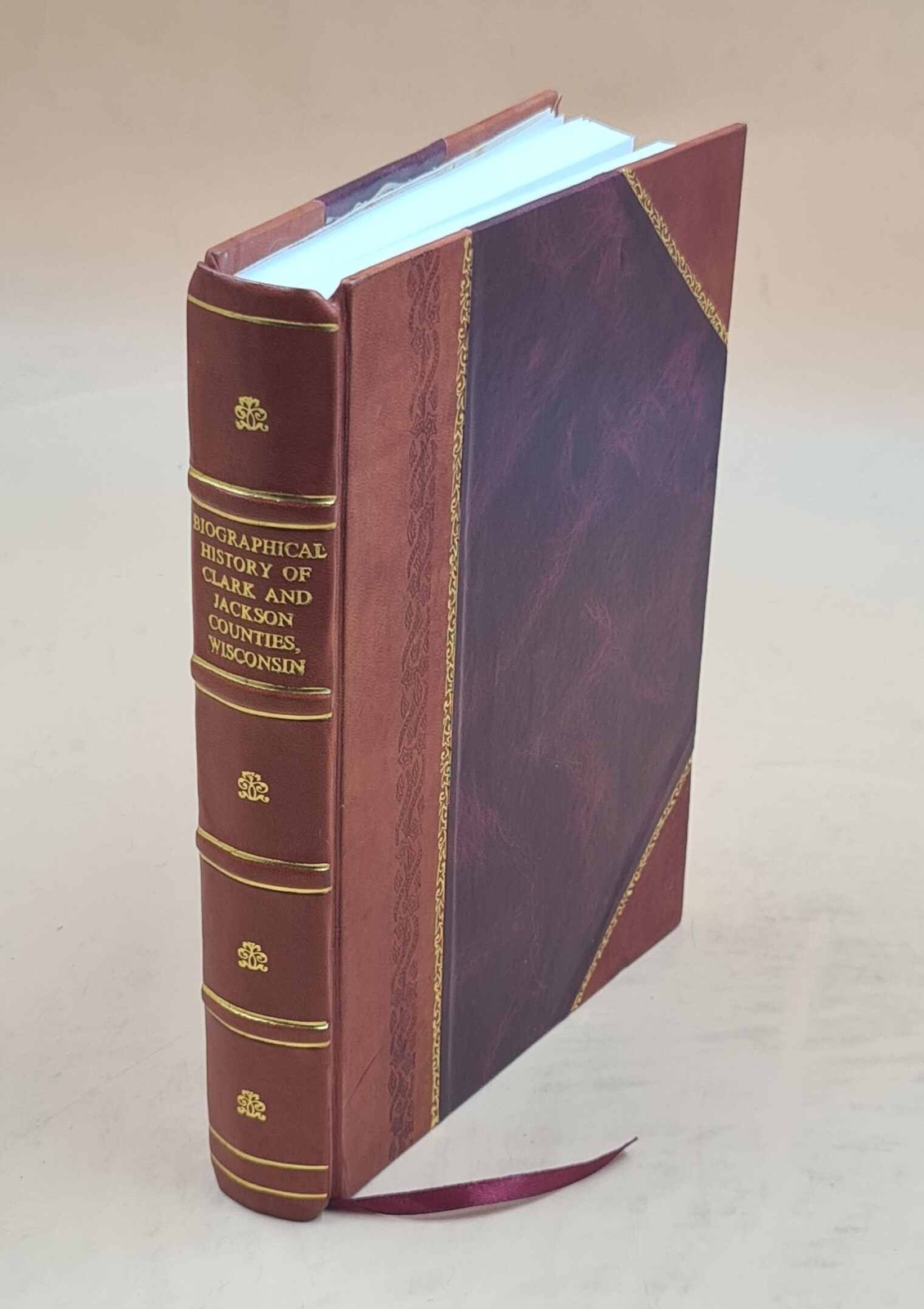 Leather Bound Biographical History of Clark and Jackson Counties Wisconsin