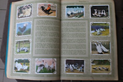 6378e Wagner Margarine Collecting Images Album From Forst And Hall 4 Card Book