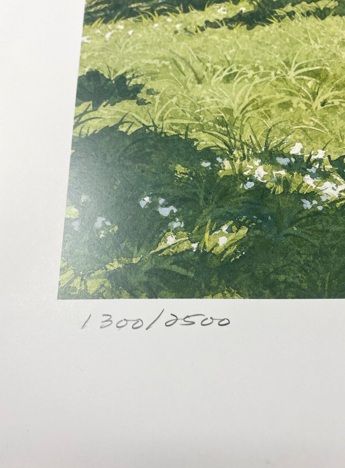 Picture 3 of 4