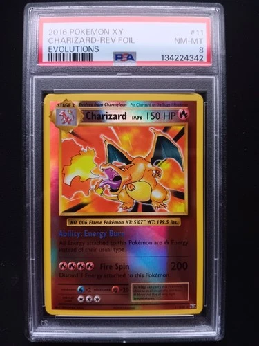 CHARIZARD-REV.FOIL XY EVOLUTIONS 2016 PSA 8 NM-MT