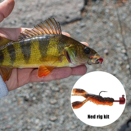 40 Pcs Crawfish Lure Soft Plastic Worms Fishing Lures Bass Fishing Baits Lure... - Afbeelding 6 van 7