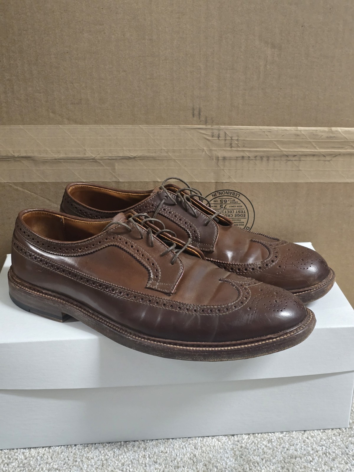 Alden 97504 Ravello Shell Cordovan Long Wing Blucher