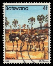 BOTSWANA 306 (SG518) - African Ostrich "Struthio camelus" (pf62885)