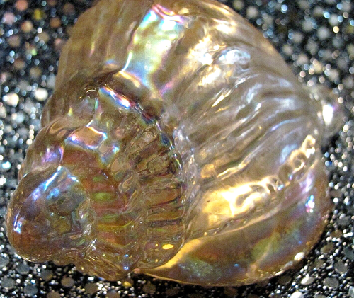 Silvestri Handcrafted Pink Iridescent Sea Shell Seashell Paperweight - Picture 3 of 7