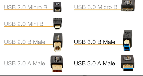 Amazon Basics USB-A to USB-B 3.0 Cable, 4.8Gbps High-Speed 6 ft Gold-Plated Plug - Picture 4 of 5