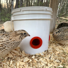 Quail  Chick Feed Saver Port - 8 1.5" Ports - 3D Printed - Reduces food waste