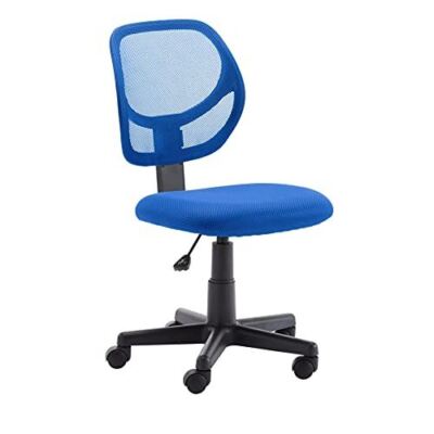 Amazon Basics Low-Back Computer Task Office Desk Chair with Swivel Casters  Blu 841710132182|