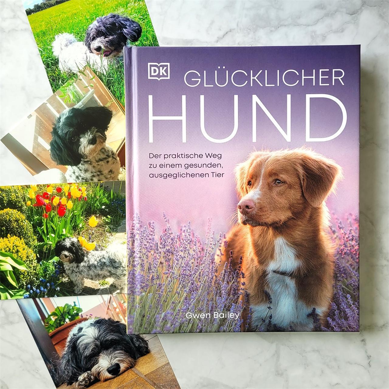 Thumbnail - Glücklicher Hund | Der Praktische Weg Zu Einem Gesunden,